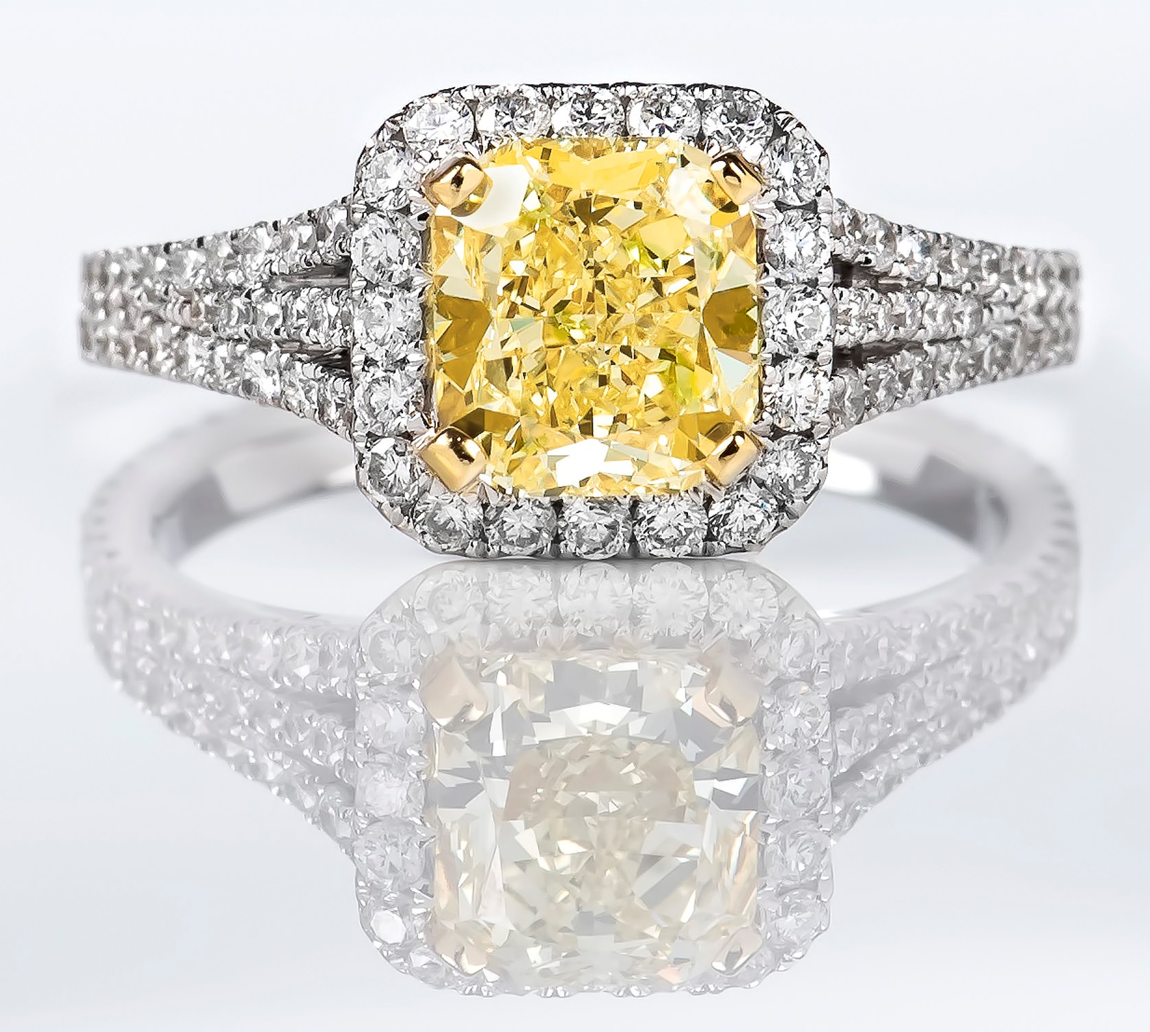 No image available for this item.